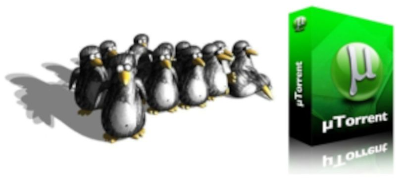 uTorrent Linux edition: Οδηγός εγκατάστασης και χρήσης σε Linux