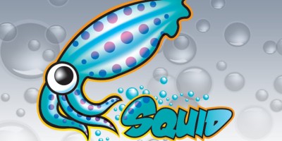 egkatastasi-rithmisi-squid-proxy